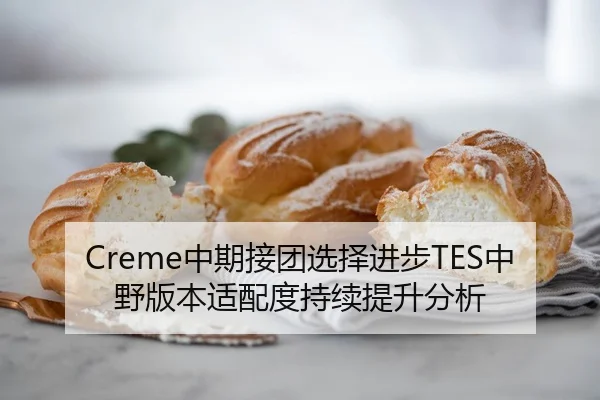 Creme中期接团选择进步TES中野版本适配度持续提升分析
