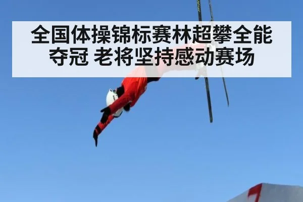 全国体操锦标赛林超攀全能夺冠 老将坚持感动赛场